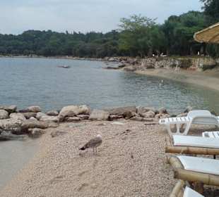 Strand in der Nähe des Hafens