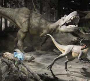 Nachgestellte Saurier-Szene, Royal Tyrrell Museum