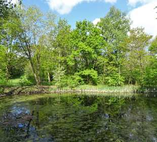Impressionen aus dem Achterdiekpark