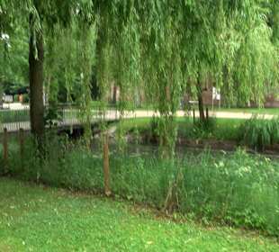 Baumlehrpfad Glacis Park