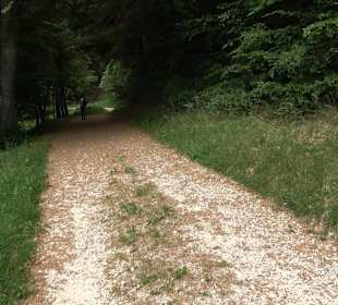 Waldlehrpfad in Tieringen