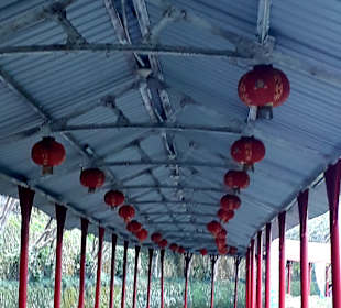 Maokong Gondel -  Rund um Tempel Station