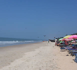 Goa/Indien Traumstrand