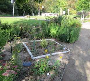 Festung, Kräutergarten