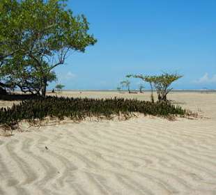 Der Weg zum Strand 