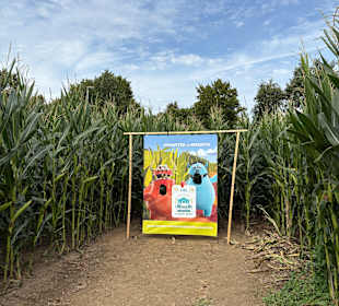Monster-Maisfeldlabyrinth Alsdorf