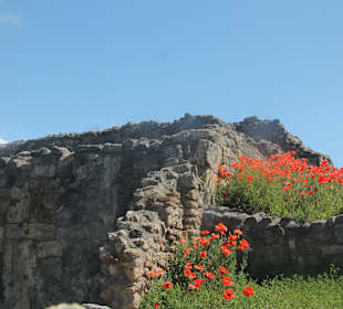 Das antike Pompeji