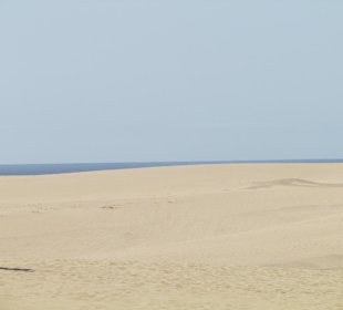 Dünenlandschaft bei Corralejo