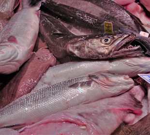 Rundgang durch die Markthalle La Boqueria