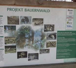 Premiumwanderweg "hochgeblickt"