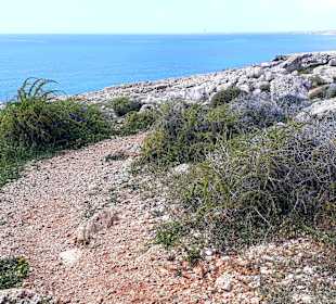 Nationalpark Kap Greco