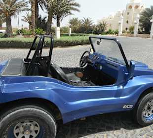 Buggy Tour