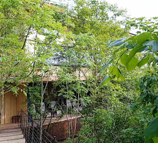 Wellnessbereich Mawell Resort 