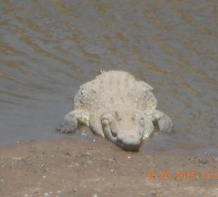 Amboseli Nationalpark