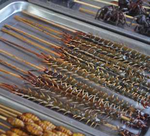 Zbiór najdziwniejszego jedzenia w całym Pekinie