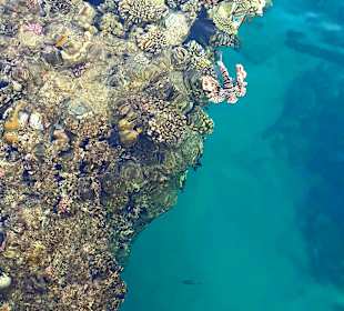 Schnorcheln Marsa Alam