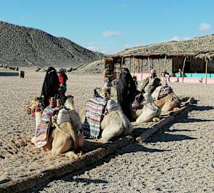 Jeep Safari Hurghada
