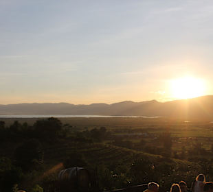 Blick vom Weingut auf den See