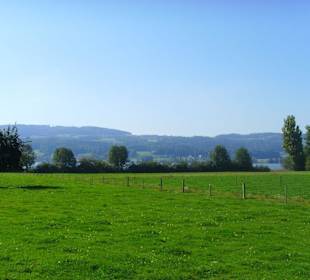 Blick zum Greifensee