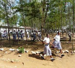 Die größeren Kinder in Schuluniform