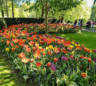 Keukenhof