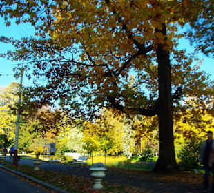 Hier kann man es Aushalten