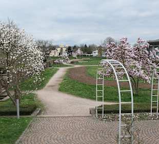 In Rastatt beim Murgpark
