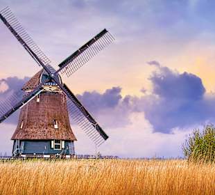 Stadtrundgang Zaandam