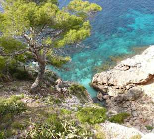 Traumhafter Blick auf Meer