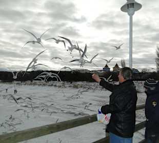 Seebrücke Zinnowitz