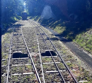 Fahrt mit der Königstuhlbahn