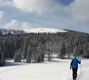 Langlaufloipe am Rinken mit Blick zum Feldberg