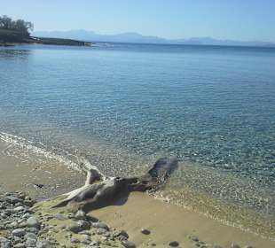 Strand wie in der Karibik 