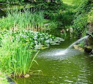 Rundgang durch den Edmund Klein Park