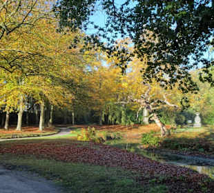 Herbstspaziergang durch den Schlosspark Lütetsburg
