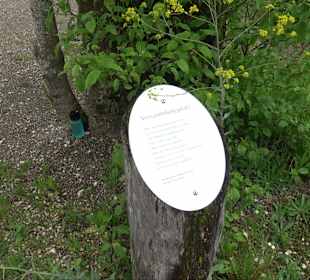 Höhlenerlebniswelt Hürben