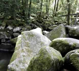 Die Saußbachklamm