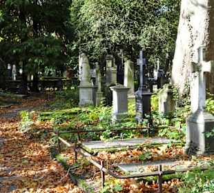 Rundgang über den Alten Friedhof in Bonn