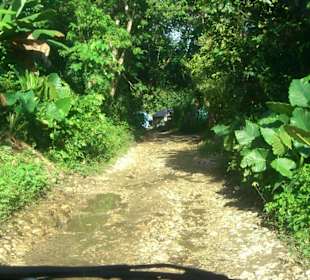 Auf dem Weg in den Dschungel