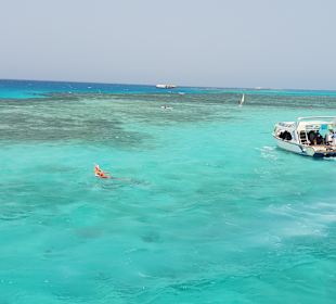Schnorcheln Hurghada