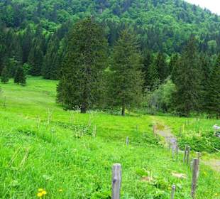 Wanderweg Cellonsee