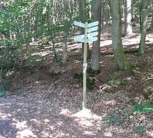 Paddelsee in Hauenstein