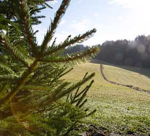 Wandern Oberstaufen