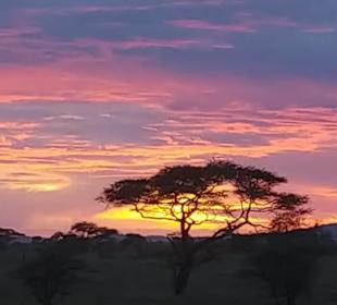 Sonnenuntergang in der Serengeti