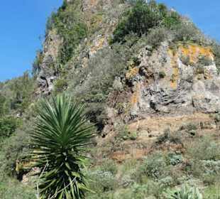 Schönes Wandergebiet im Norden Teneriffas