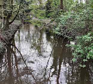 Im Rosengarten