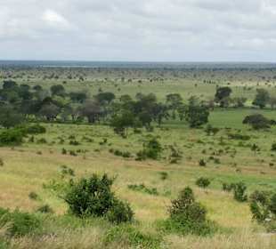 Sarova Salt Lick Game Lodge