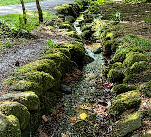 Killarney National Park