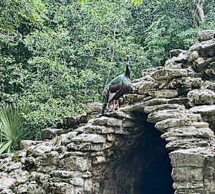 Ruinenstätte Cobá