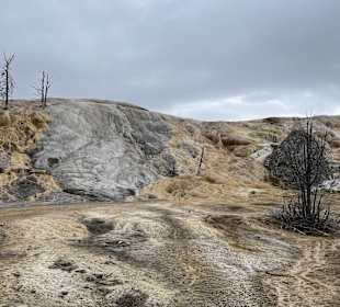 Yellowstone Nationalpark